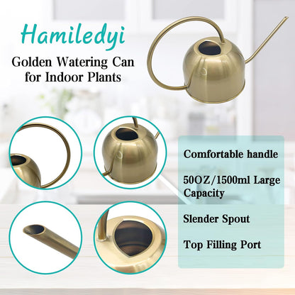 50 oz/1500 ml Stainless Steel Watering Can with Long Spout