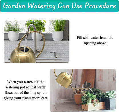 50 oz/1500 ml Stainless Steel Watering Can with Long Spout