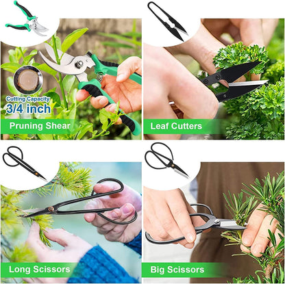 Bonsai Tools Kit 24PCS – Starter Trimming & Pruning Set for Beginners