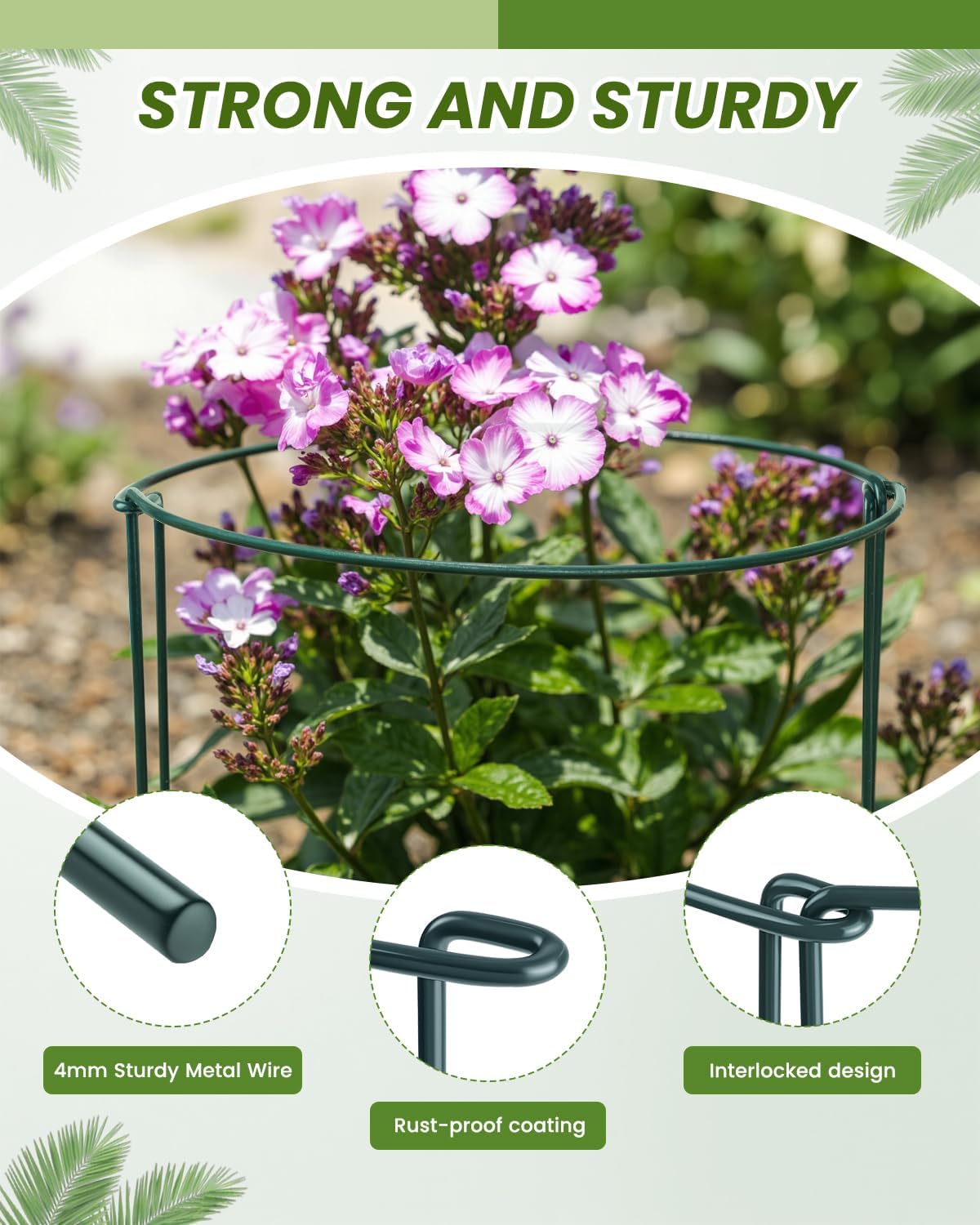 10-Pack Heavy-Duty Plant Support Stakes, 10" W x 16" H Half-Round Rust-Resistant Metal Garden Border & Climbing Plant Cage, Sturdy Ring Stake for Indoor/Outdoor Flowers, Vines, Vegetables