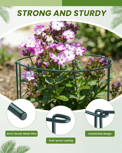 10-Pack Heavy-Duty Plant Support Stakes, 10" W x 16" H Half-Round Rust-Resistant Metal Garden Border & Climbing Plant Cage, Sturdy Ring Stake for Indoor/Outdoor Flowers, Vines, Vegetables