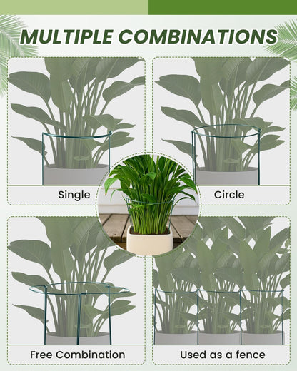 10-Pack Heavy-Duty Plant Support Stakes, 10" W x 16" H Half-Round Rust-Resistant Metal Garden Border & Climbing Plant Cage, Sturdy Ring Stake for Indoor/Outdoor Flowers, Vines, Vegetables