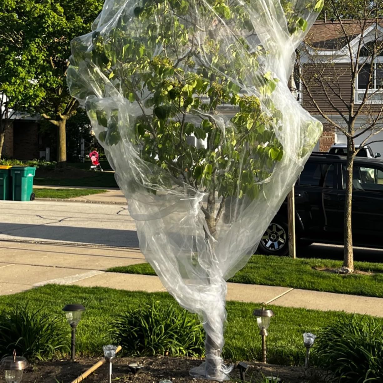 10X50 FT Garden Netting Pest Barrier, Ultra Fine Mesh