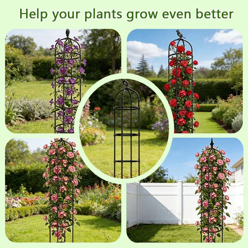 Rustproof Metal Garden Obelisk Trellis for Climbing Plants 6.6FT Round Flower Trellises for Clematis Vine Jasmine Support(XNHBT)