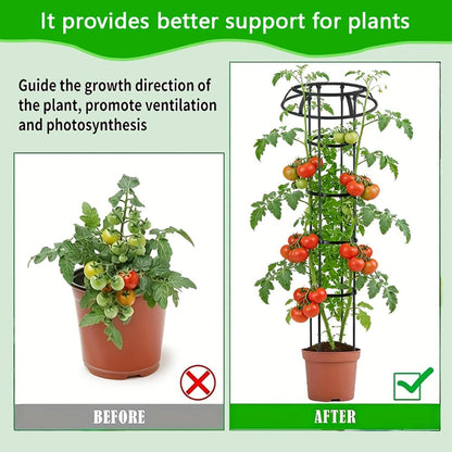 Rustproof Metal Garden Obelisk Trellis for Climbing Plants 6.6FT Round Flower Trellises for Clematis Vine Jasmine Support(XNHBT)