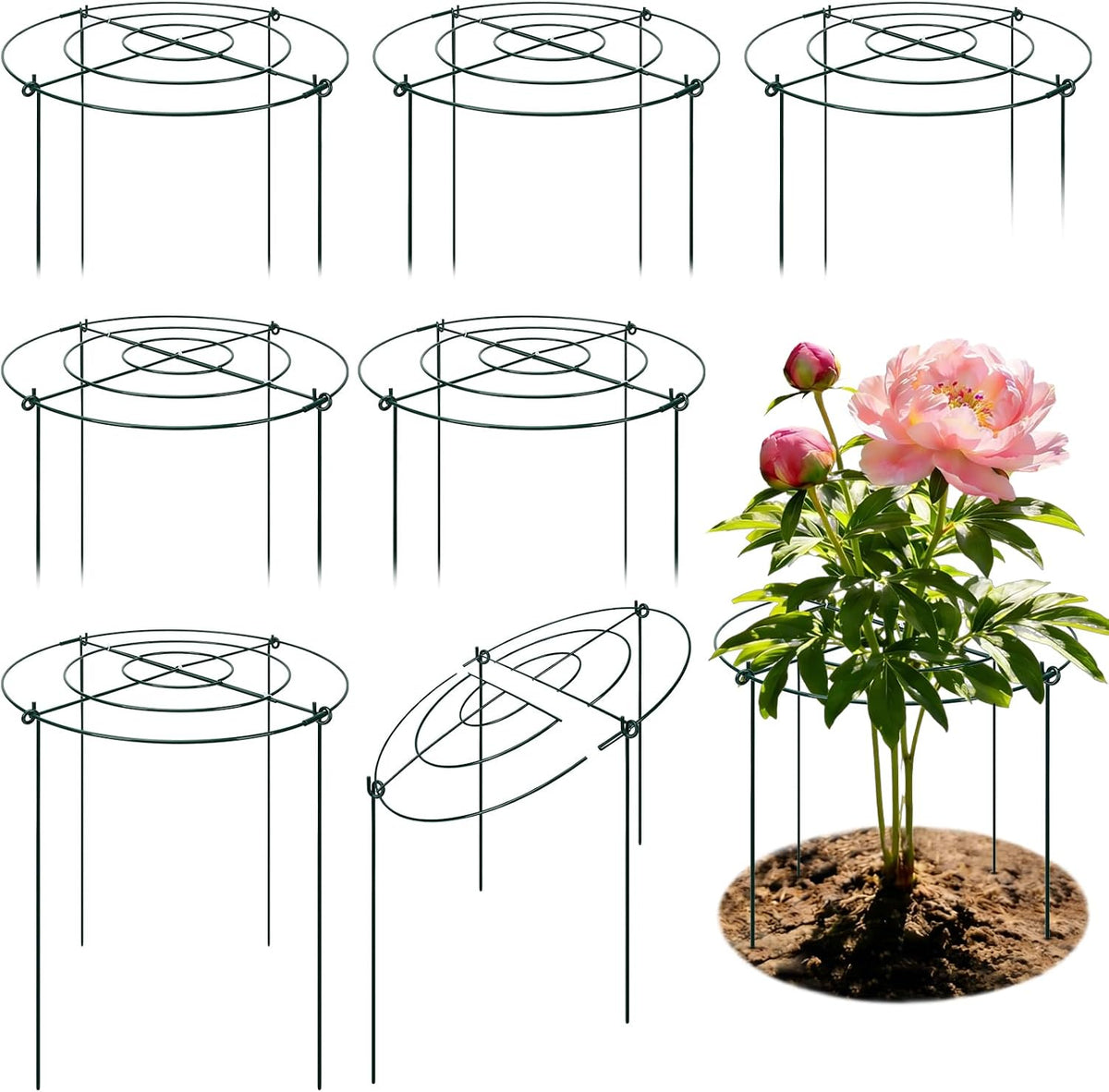 8 Pack Peony Cages and Supports, 11.5 x 20 Inch Plant Support Cage Set