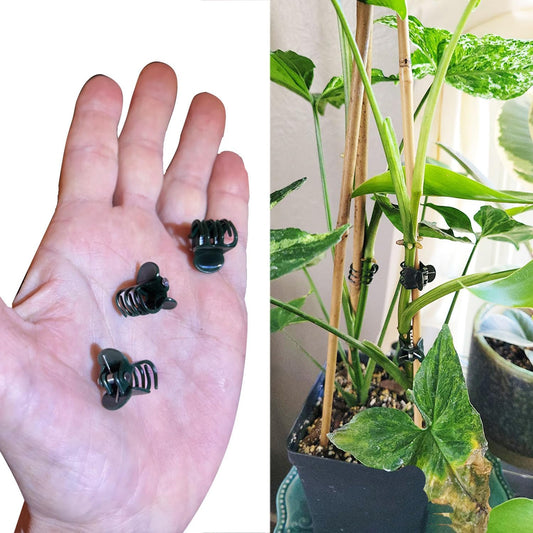 30 pcs Plant Clips, Orchid Clips Plant Orchid Support Clips Flower and Vine Clips for Supporting Stems Vines Grow Upright Dark Green