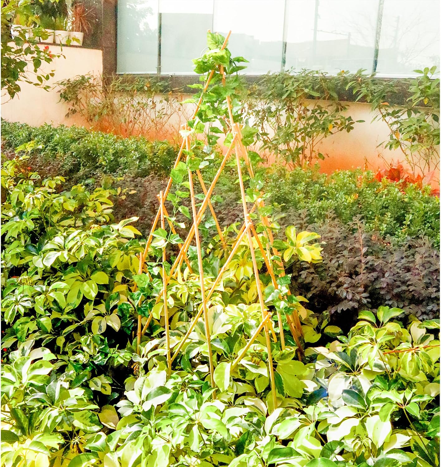 4ft Expandable Bamboo Teepee Trellis for Climbing Plants, Self-Standing Natural Bamboo Trellis for Plant Support, Folding Garden Trellis for Vines Flowers Vegetable Indoor Outdoor
