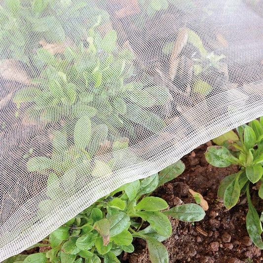 Garden Netting Bird Net 4x20Ft for Bug Protection