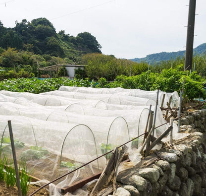 Garden Netting Bird Net 4x20Ft for Bug Protection