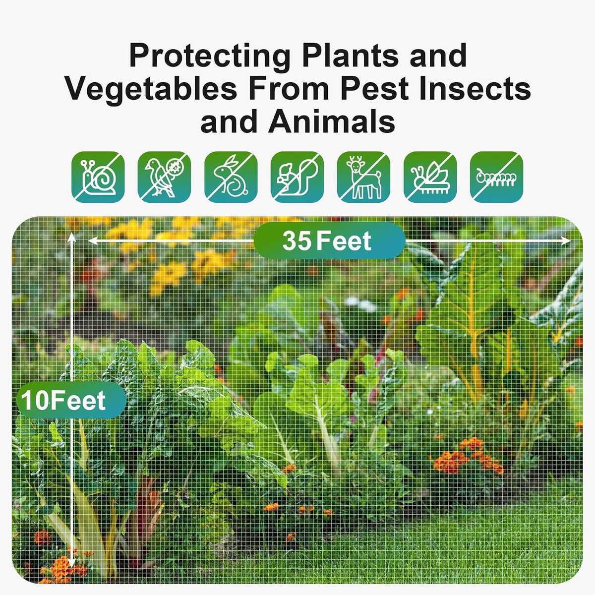 Garden Netting Bird Net 4x20Ft for Bug Protection
