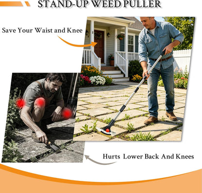 3-in-1 Crack Weeder Tool, Long Handle Scraper & Weed Brush