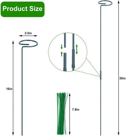 4 Pack Plant Support Stakes, 16/32 Inch Garden Stakes with 50 PCS Twist Ties, Plant Accessories for Indoor Outdoor Potted Tomato Vegetables Amaryllis Monstera Rose Peony Marigold