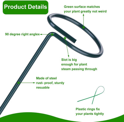 4 Pack Plant Support Stakes, 16/32 Inch Garden Stakes with 50 PCS Twist Ties, Plant Accessories for Indoor Outdoor Potted Tomato Vegetables Amaryllis Monstera Rose Peony Marigold