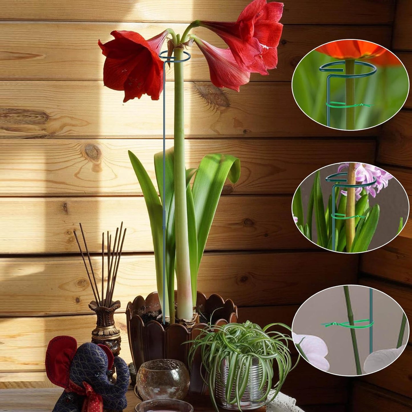 4 Pack Plant Support Stakes, 16/32 Inch Garden Stakes with 50 PCS Twist Ties, Plant Accessories for Indoor Outdoor Potted Tomato Vegetables Amaryllis Monstera Rose Peony Marigold