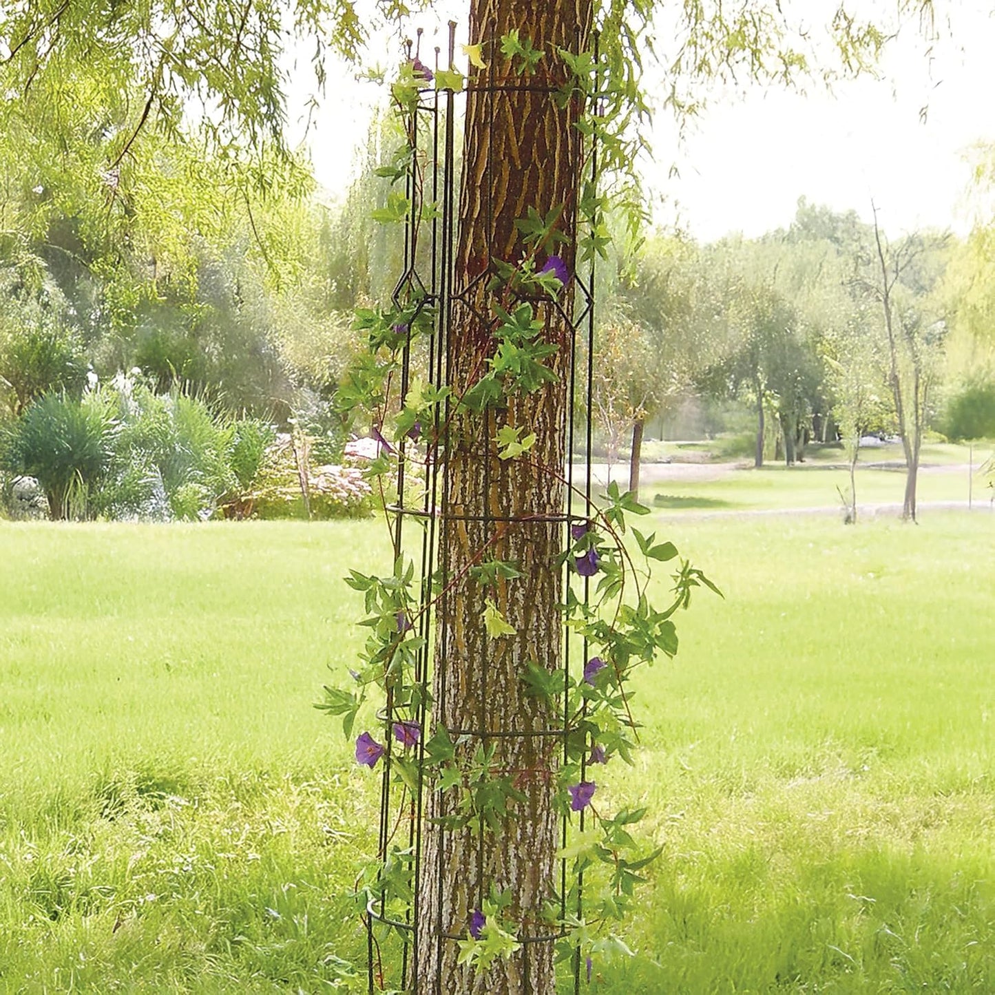 Products Semi Round Arts and Crafts Trellis, Black