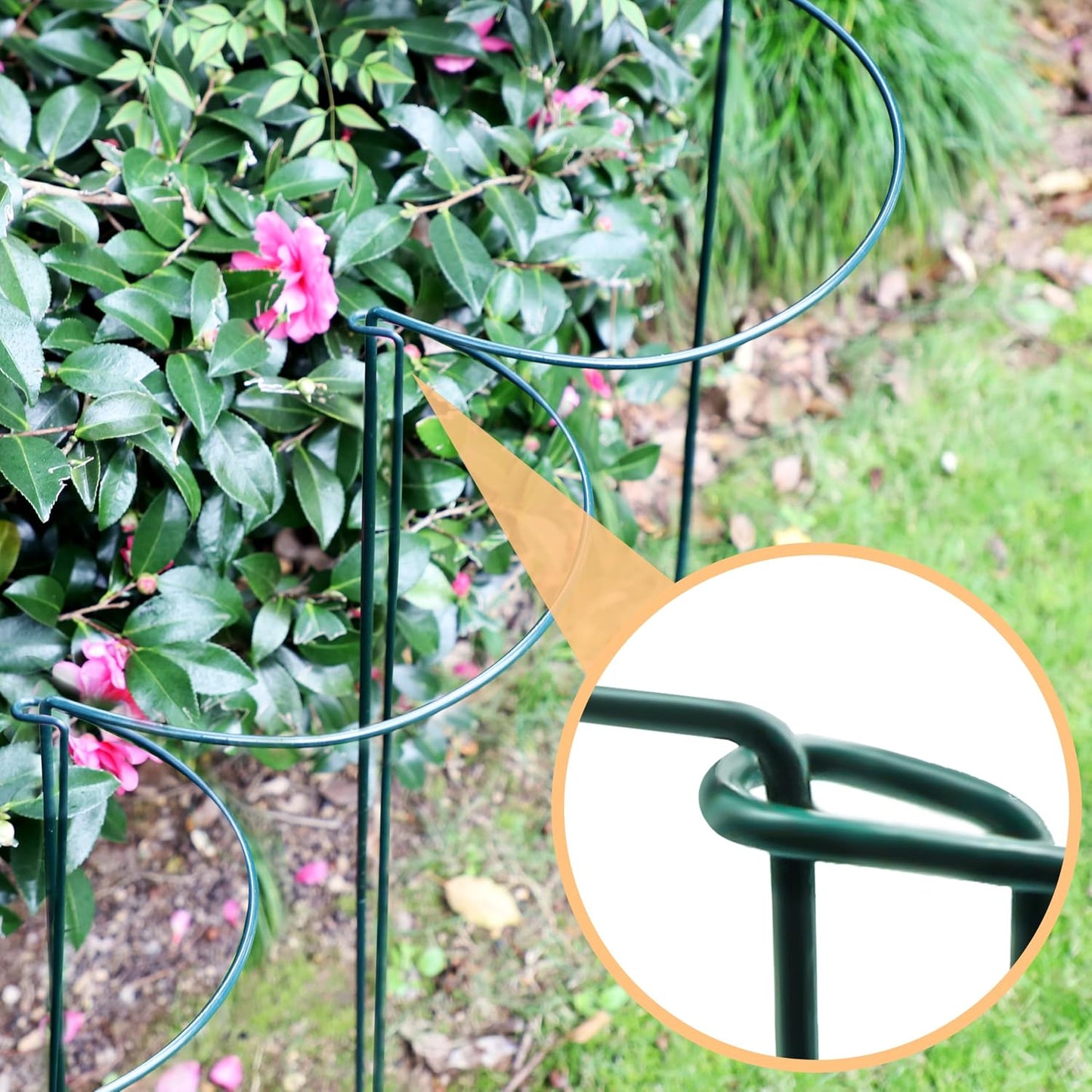 10 Pack Garden Supports for Plants Metal 10" Wide x 24" High Interlock Half Round Garden Plant Support Ring Border Support Plant Support Ring Cage for Rose Flowers Vine Tomato