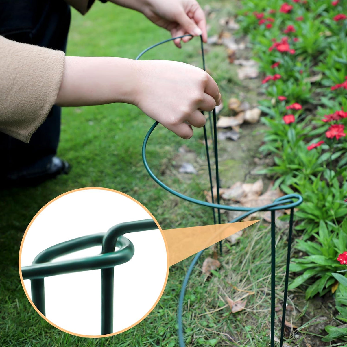 10 Pack Garden Supports for Plants Metal 10" Wide x 24" High Interlock Half Round Garden Plant Support Ring Border Support Plant Support Ring Cage for Rose Flowers Vine Tomato