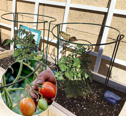 10 Pack Garden Supports for Plants Metal 10" Wide x 24" High Interlock Half Round Garden Plant Support Ring Border Support Plant Support Ring Cage for Rose Flowers Vine Tomato