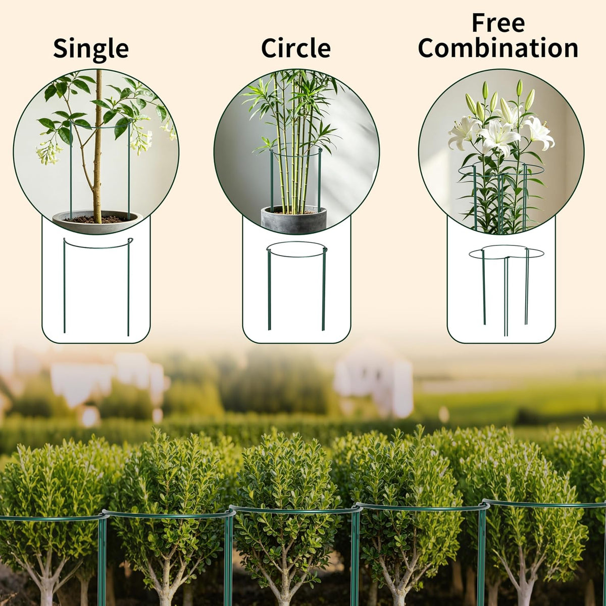 10 Pack Garden Supports for Plants Metal 10" Wide x 24" High Interlock Half Round Garden Plant Support Ring Border Support Plant Support Ring Cage for Rose Flowers Vine Tomato
