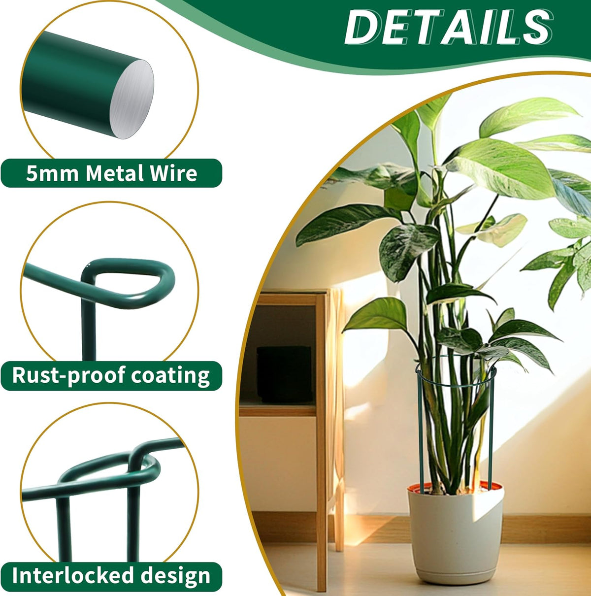 10 Pack Garden Supports for Plants Metal 10" Wide x 24" High Interlock Half Round Garden Plant Support Ring Border Support Plant Support Ring Cage for Rose Flowers Vine Tomato