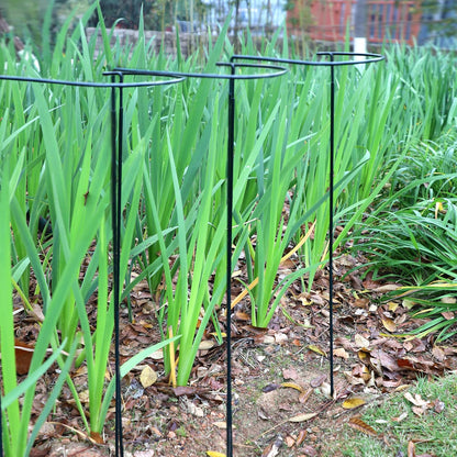 10 Pack Garden Supports for Plants Metal 10" Wide x 24" High Interlock Half Round Garden Plant Support Ring Border Support Plant Support Ring Cage for Rose Flowers Vine Tomato