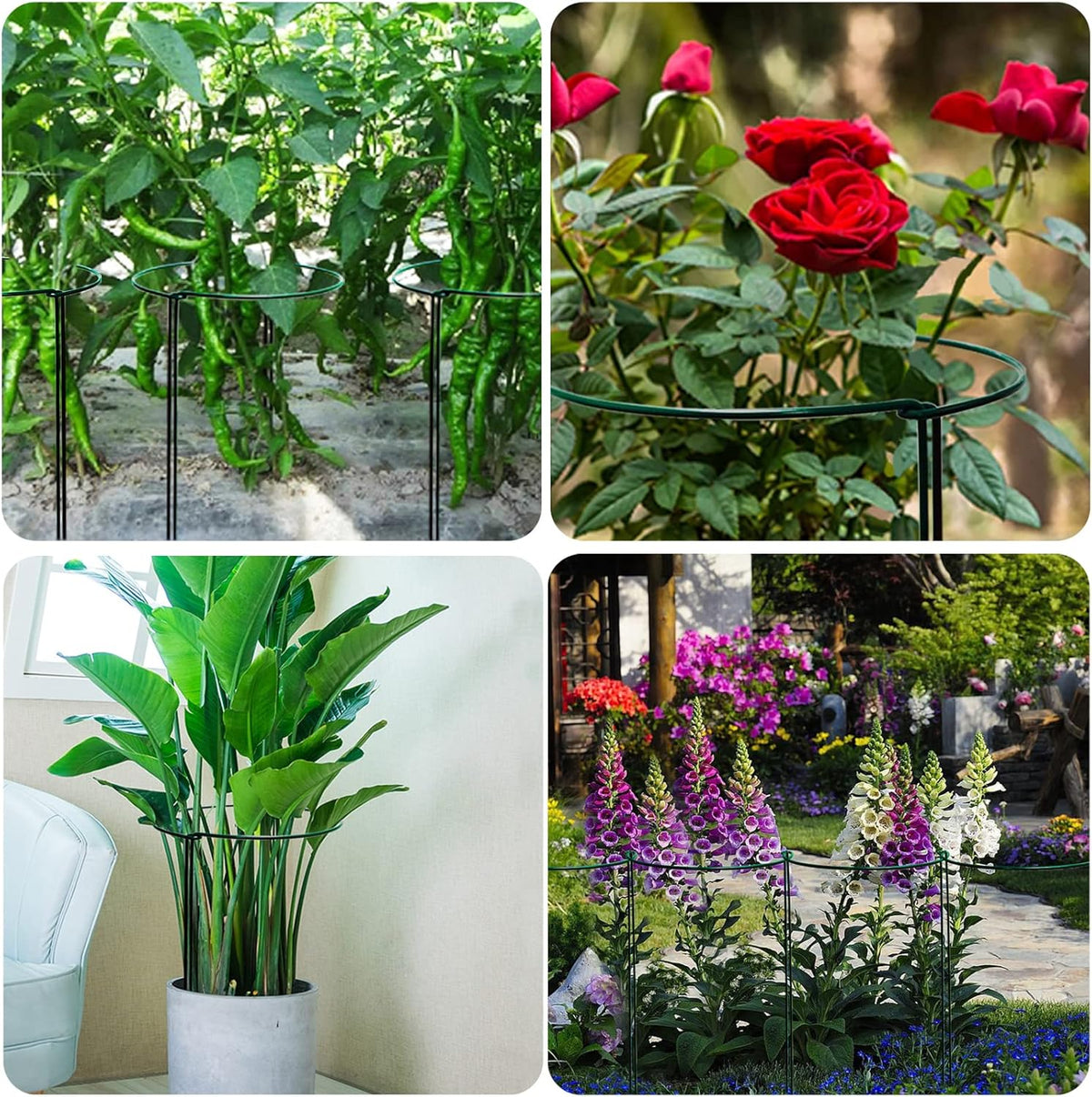 10 Pack Garden Supports for Plants Metal 10" Wide x 24" High Interlock Half Round Garden Plant Support Ring Border Support Plant Support Ring Cage for Rose Flowers Vine Tomato
