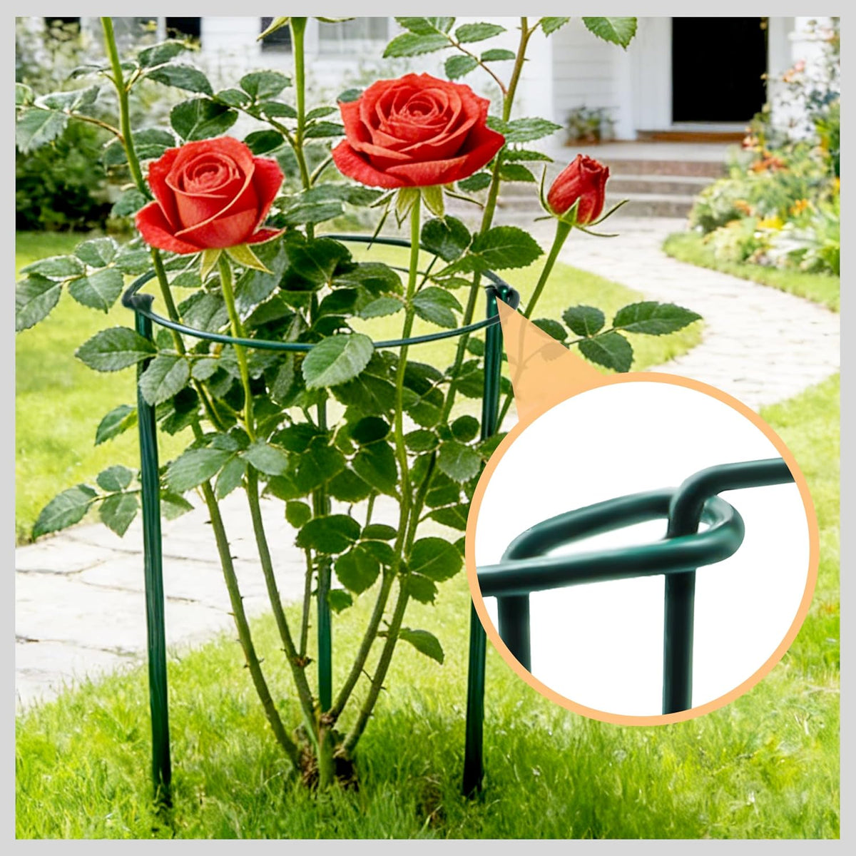 10 Pack Garden Supports for Plants Metal 10" Wide x 24" High Interlock Half Round Garden Plant Support Ring Border Support Plant Support Ring Cage for Rose Flowers Vine Tomato