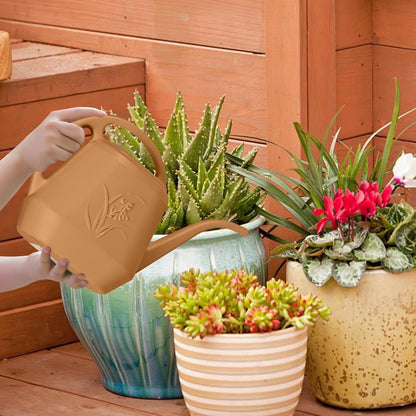 Plastic Watering Can - for Indoor and Outdoor Home Garden Plants - with Long Spout - Blue - 1/2 Gallon