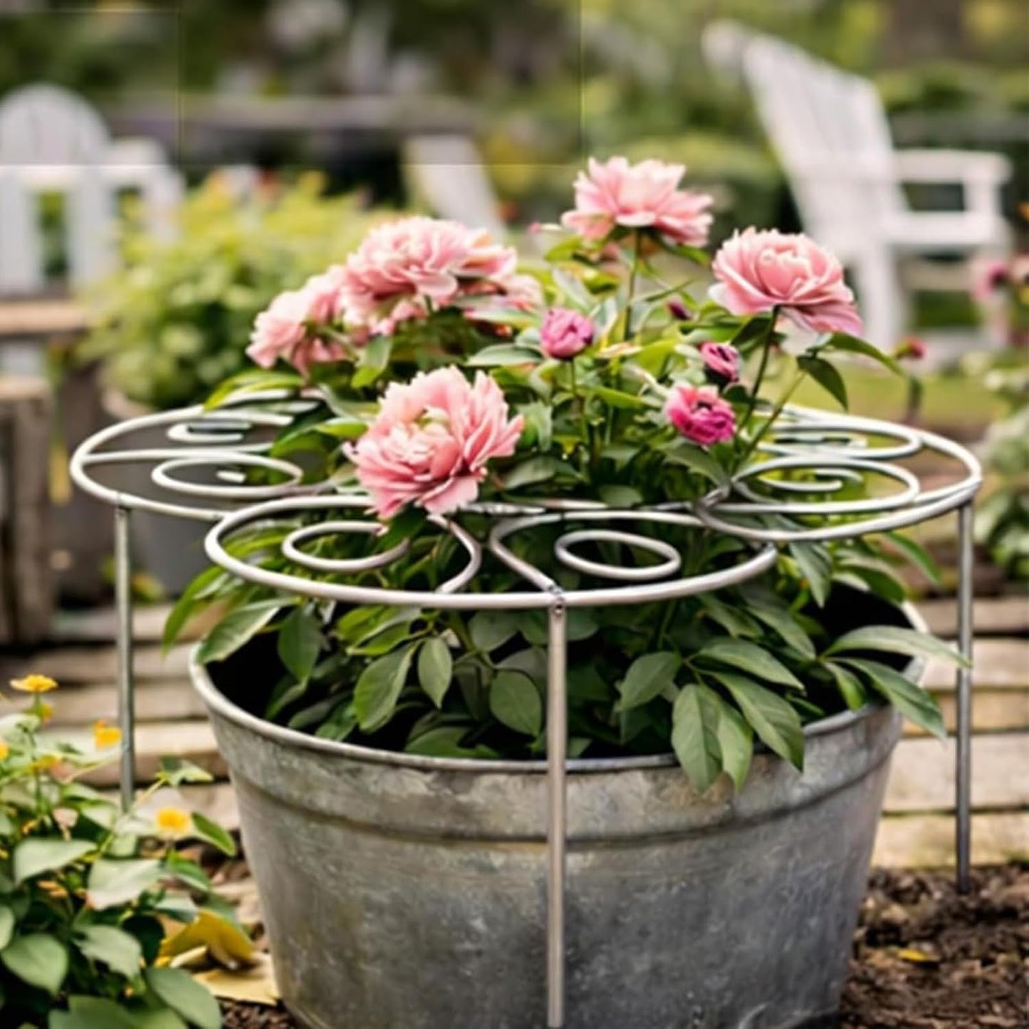Peony Cages and Supports, Metal Plant Support Ring for Garden, Peony Support, for Upright Growth and Protection (L)