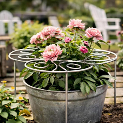 Peony Cages and Supports, Metal Plant Support Ring for Garden, Peony Support, for Upright Growth and Protection (L)