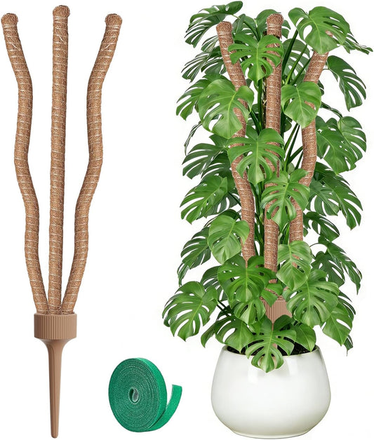 3 Moss Poles in 1, 30IN Tall Bendable Monstera Plant Support -1 Pack