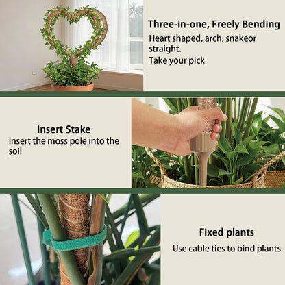 3 Moss Poles in 1, 30IN Tall Bendable Monstera Plant Support -1 Pack