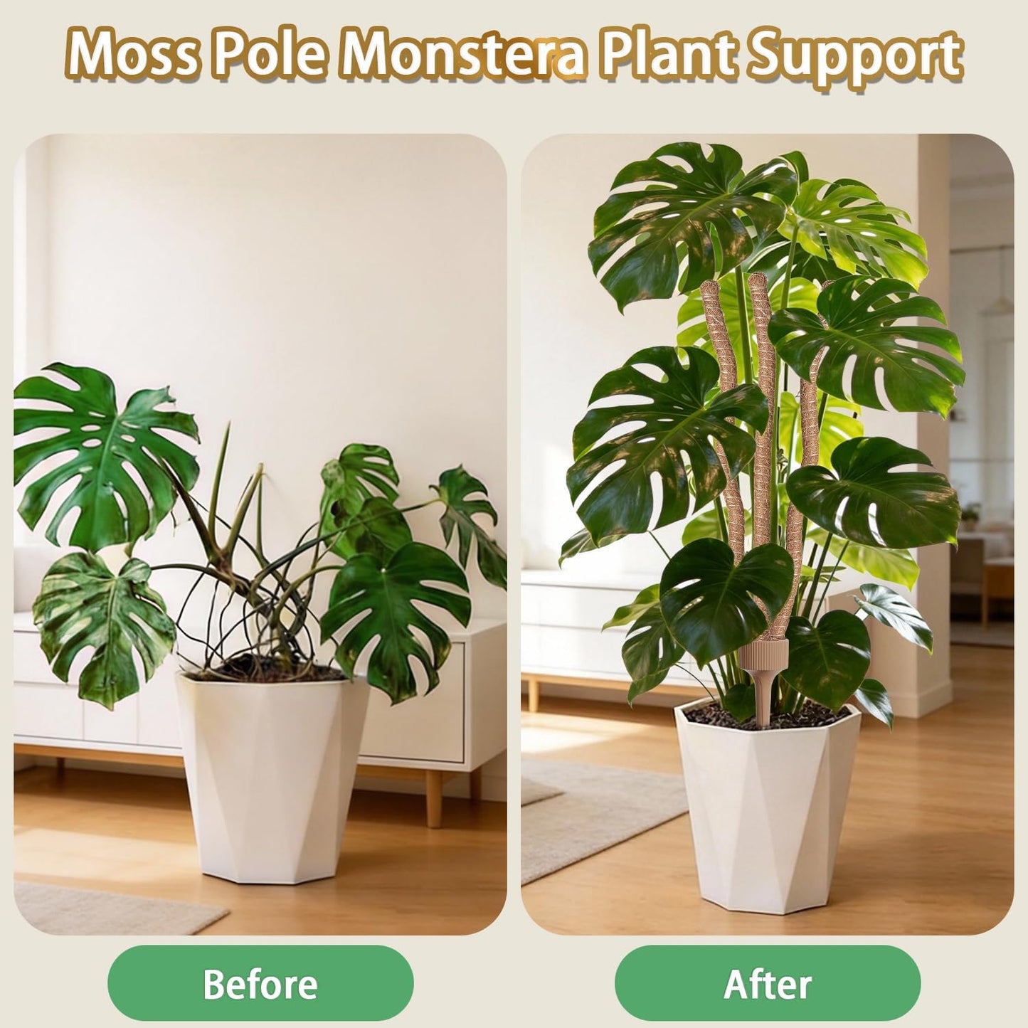 3 Moss Poles in 1, 30IN Tall Bendable Monstera Plant Support -1 Pack