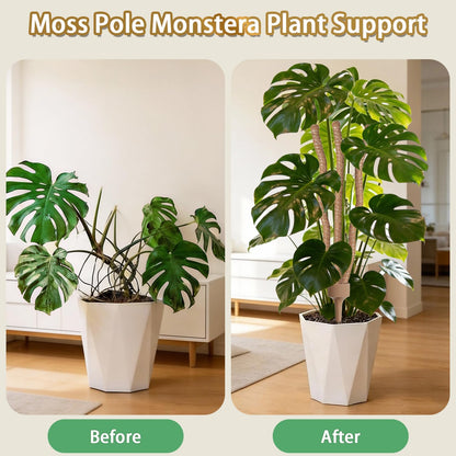3 Moss Poles in 1, 30IN Tall Bendable Monstera Plant Support -1 Pack
