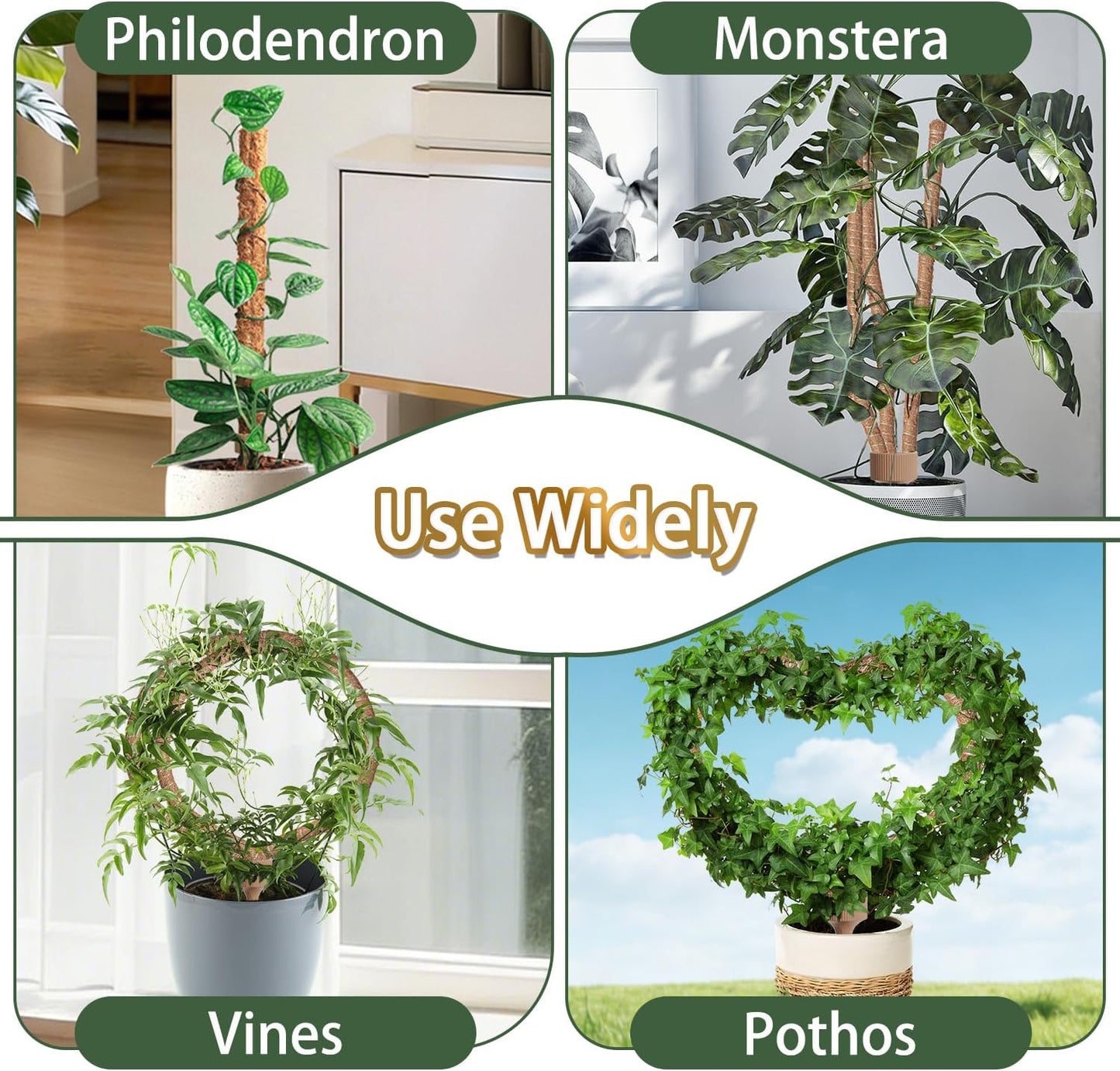 3 Moss Poles in 1, 30IN Tall Bendable Monstera Plant Support -1 Pack