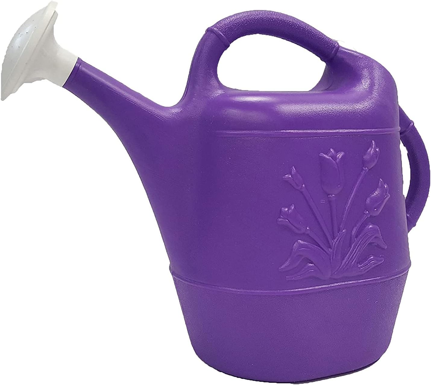 Union Products Watering Can, 2 Gallon Plastic Gardening Water Jug with 2 Handles for Garden, Indoor Plants, and Outdoor Flower Pots, Green