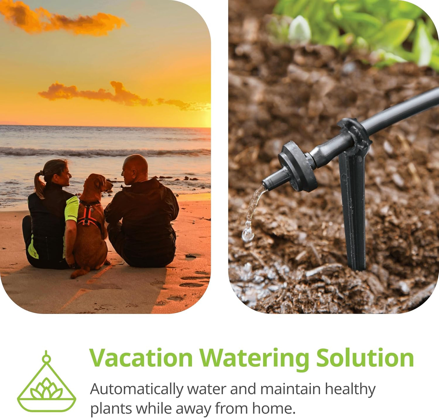 R560DP Drip Watering System, Automatic Drip Irrigation System with Timer for Containers and Hanging Baskets, Waters up to 20 Plants, Includes 20 Drippers, Black