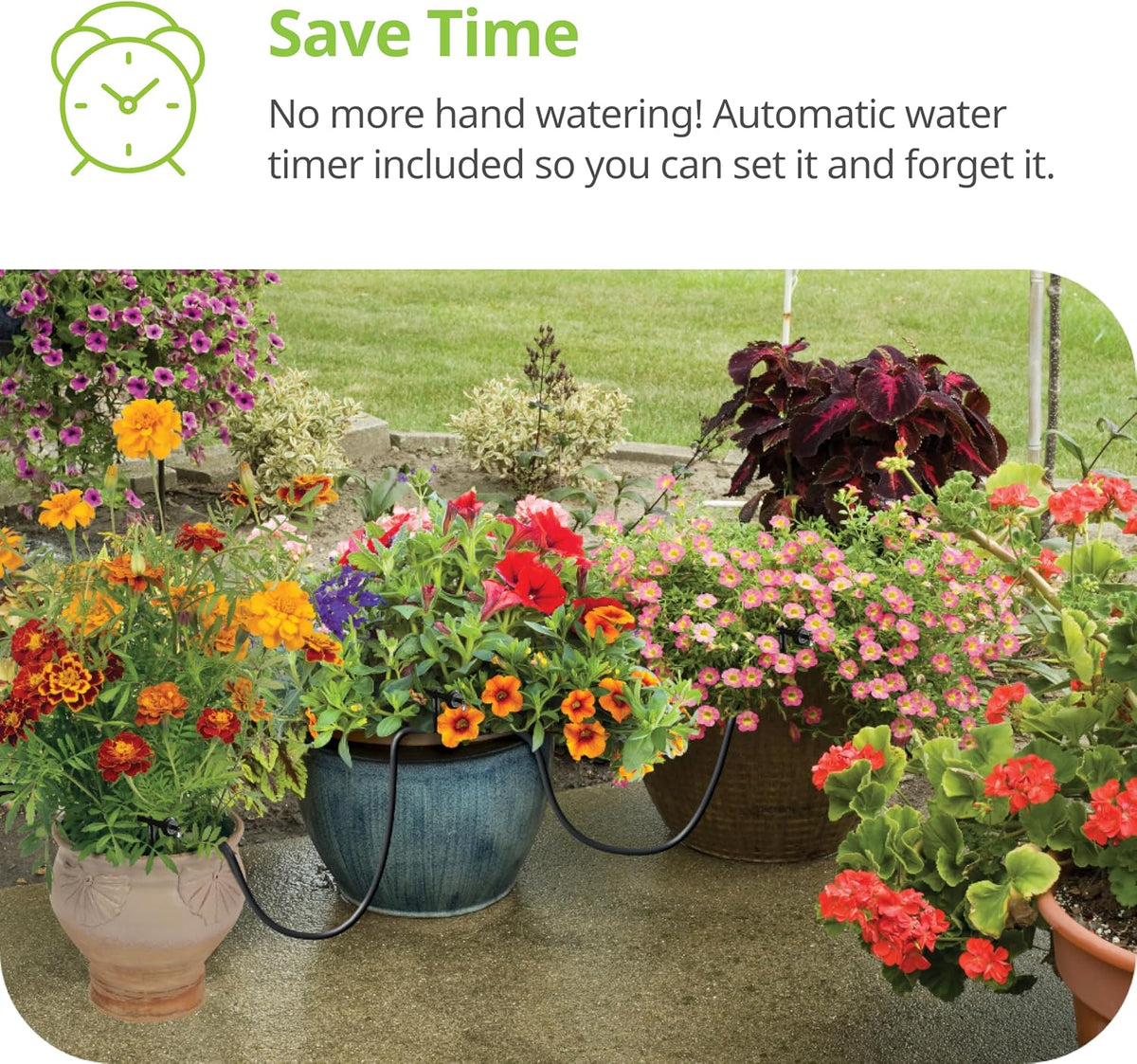 R560DP Drip Watering System, Automatic Drip Irrigation System with Timer for Containers and Hanging Baskets, Waters up to 20 Plants, Includes 20 Drippers, Black