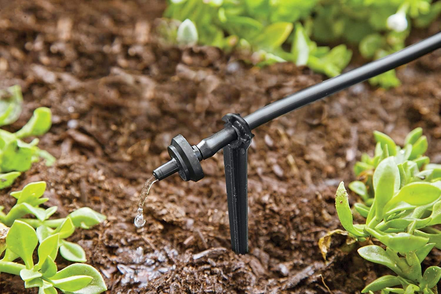 R560DP Drip Watering System, Automatic Drip Irrigation System with Timer for Containers and Hanging Baskets, Waters up to 20 Plants, Includes 20 Drippers, Black