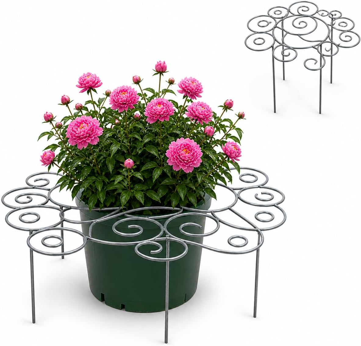 Plant Support Ring for Outdoor Plants, 15.94 x 15.94 in Metal Garden Stake, Decorative Peony Support Cage for Potted Flowers, Hydrangeas, Roses, 1 Pack