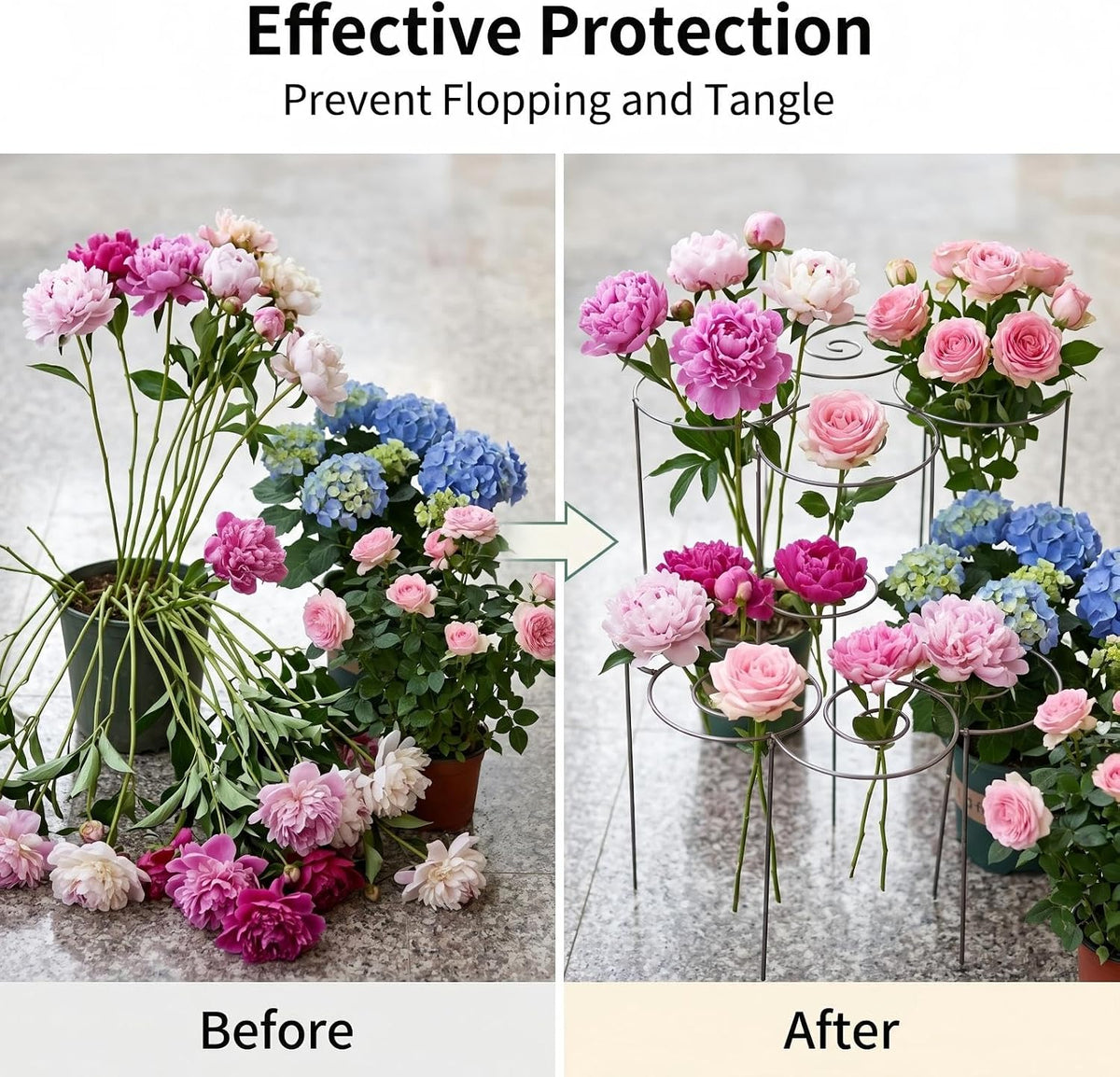 Peony Cages and Supports, Plant Support Garden Stakes, Peony Plant Support
