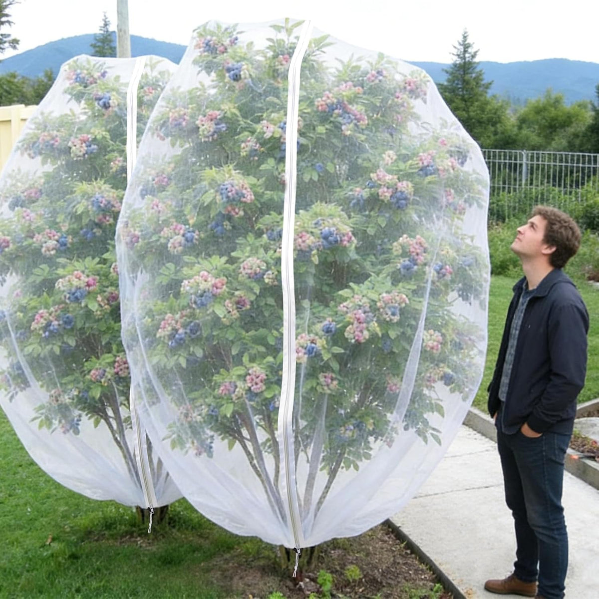 Blueberry Bush Netting Cover 2 Pack, 4.5 x 4.5 ft, Bird Netting with Zipper