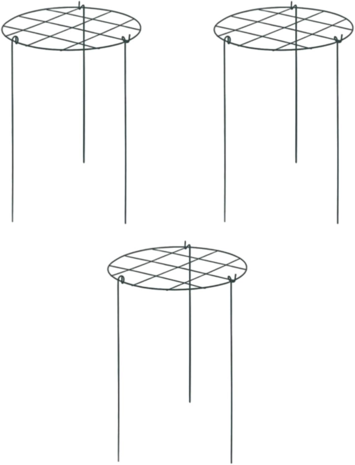 3X Peony Support Cages Plant Support Rings Elegant Metal Frame Sturdy Climbing Trellis Grow Through Hoops for Courtyard Rose, Grid
