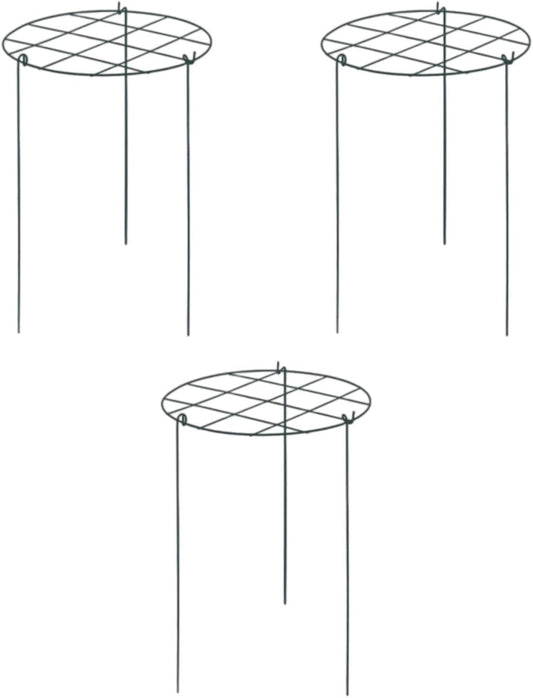 3X Peony Support Cages Plant Support Rings Elegant Metal Frame Sturdy Climbing Trellis Grow Through Hoops for Courtyard Rose, Grid