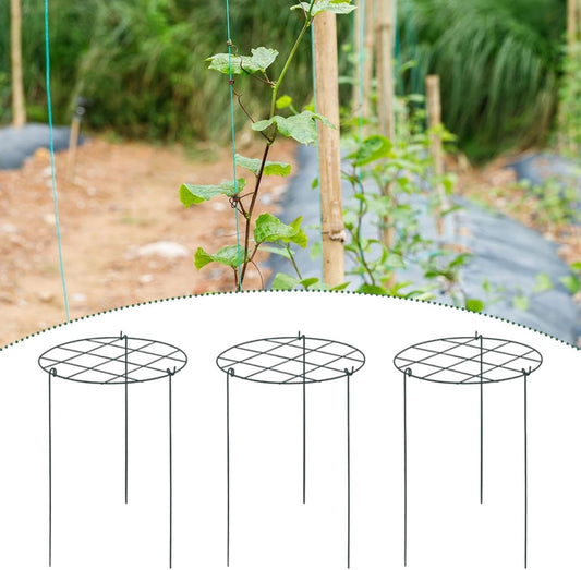 3X Peony Support Cages Plant Support Rings Elegant Metal Frame Sturdy Climbing Trellis Grow Through Hoops for Courtyard Rose, Grid
