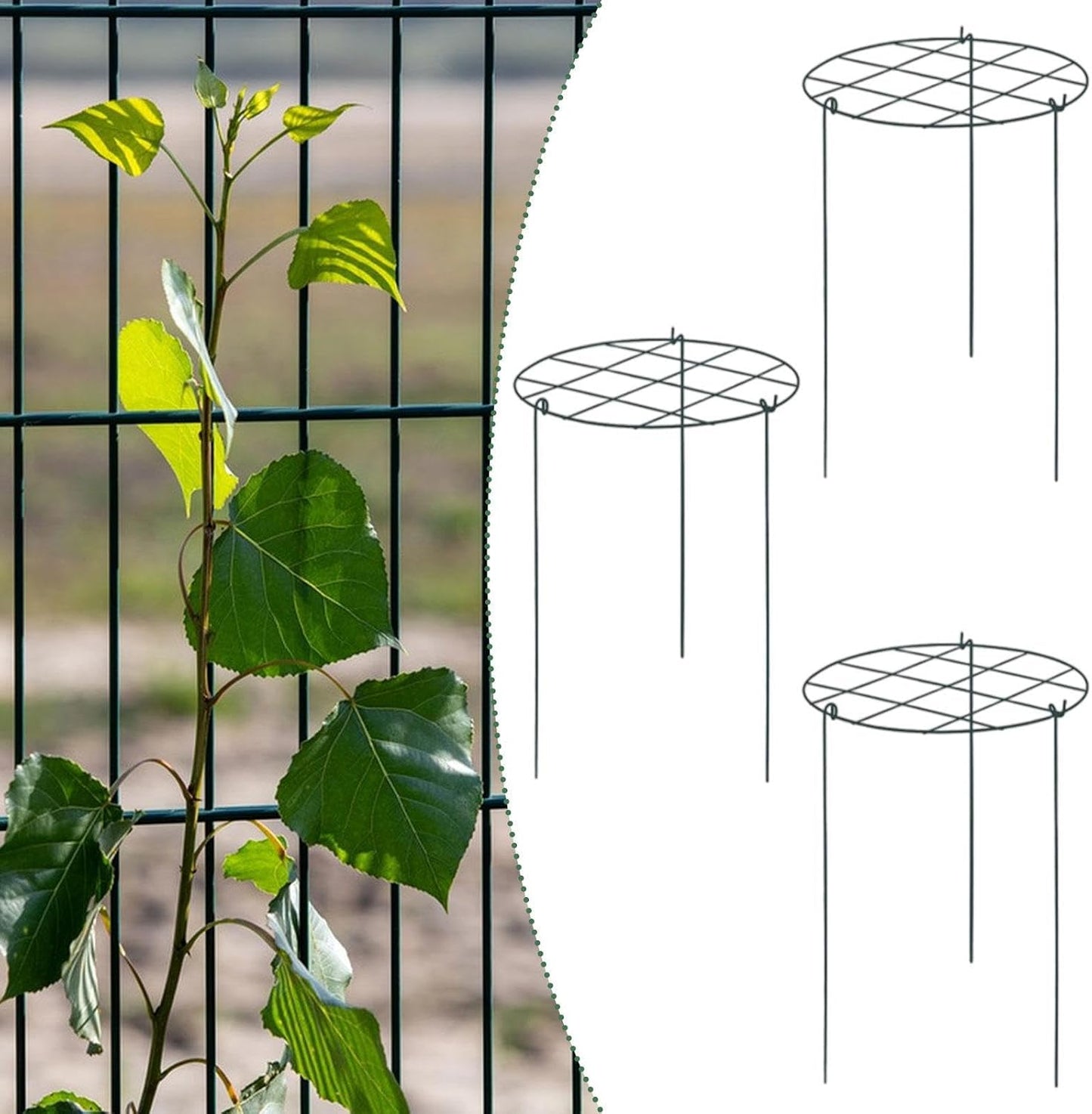3X Peony Support Cages Plant Support Rings Elegant Metal Frame Sturdy Climbing Trellis Grow Through Hoops for Courtyard Rose, Grid
