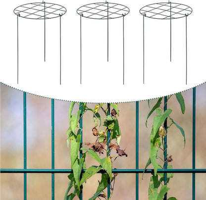 3X Peony Support Cages Plant Support Rings Elegant Metal Frame Sturdy Climbing Trellis Grow Through Hoops for Courtyard Rose, Grid