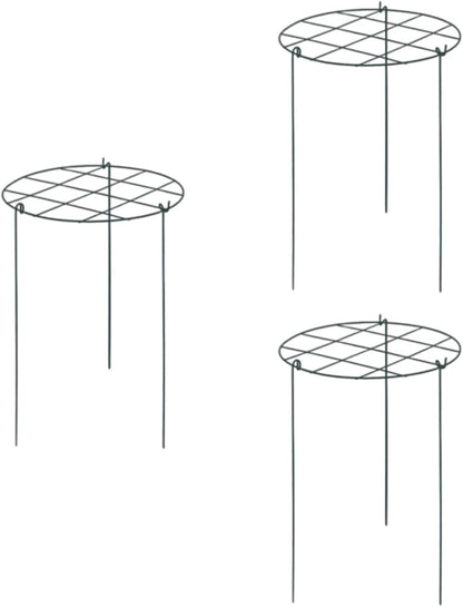 3X Peony Support Cages Plant Support Rings Elegant Metal Frame Sturdy Climbing Trellis Grow Through Hoops for Courtyard Rose, Grid