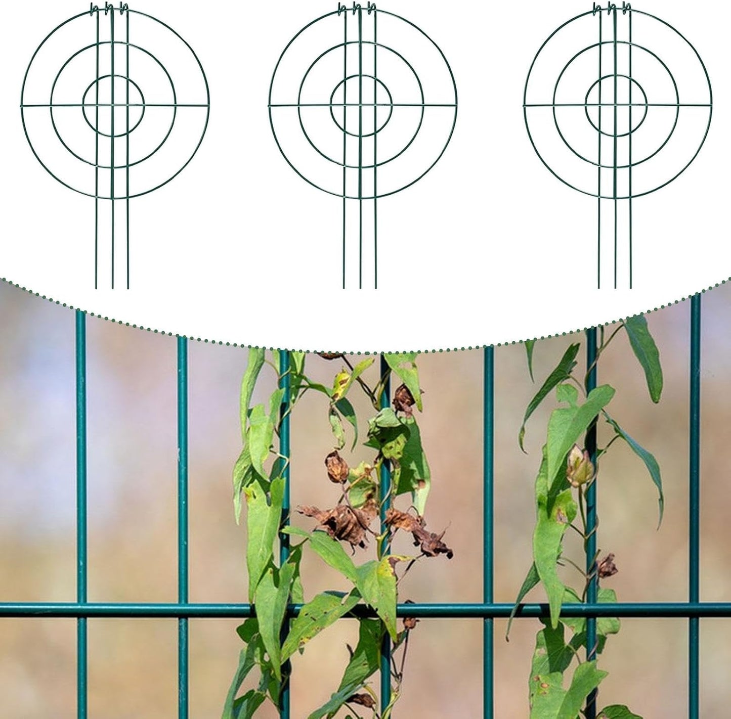 3X Peony Support Cages Plant Support Rings Elegant Metal Frame Sturdy Climbing Trellis Grow Through Hoops for Courtyard Rose, Grid